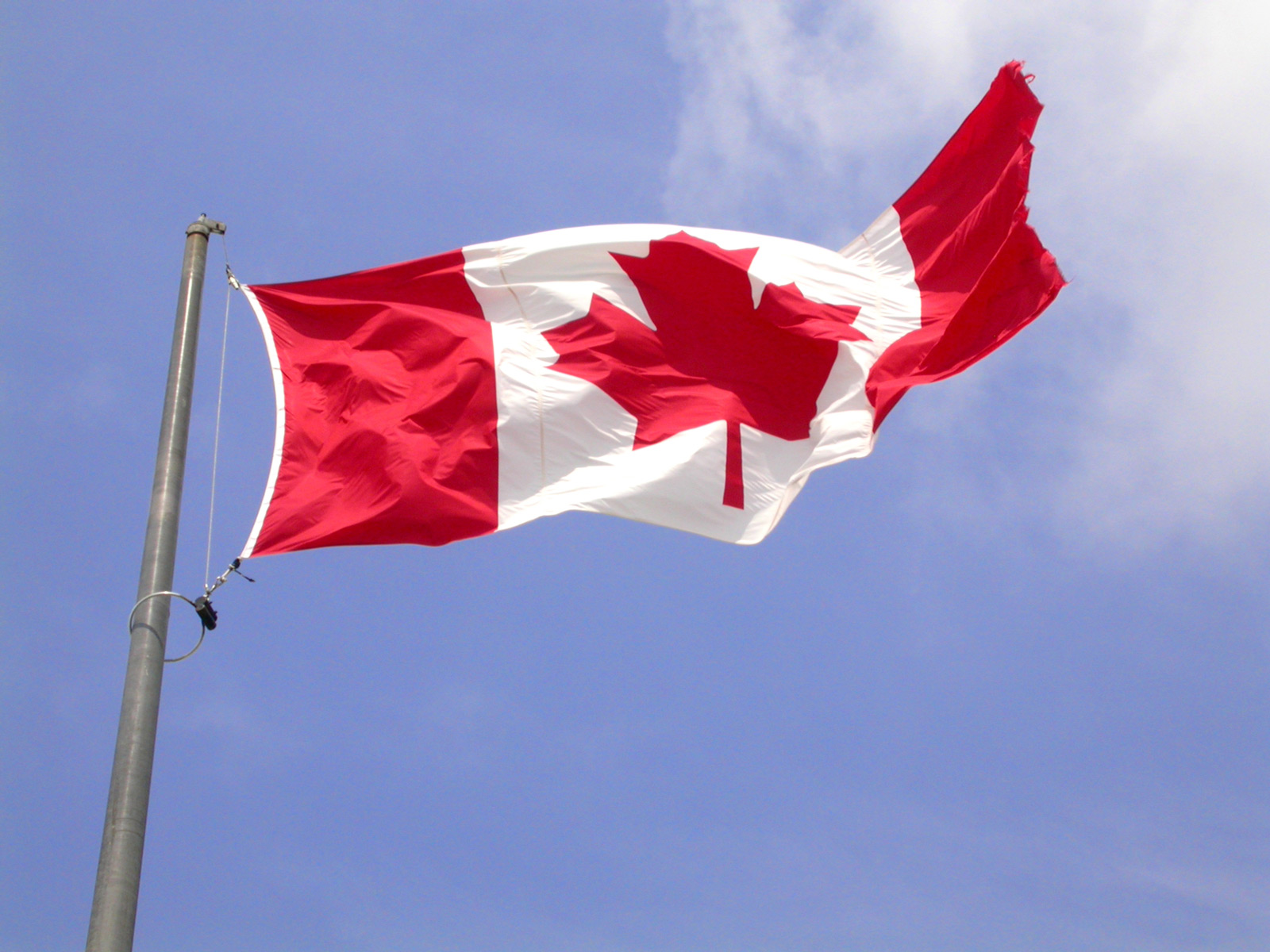 Hunker down and stand up for Canada